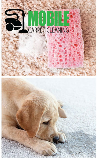hardwood carpet choices hawthorne